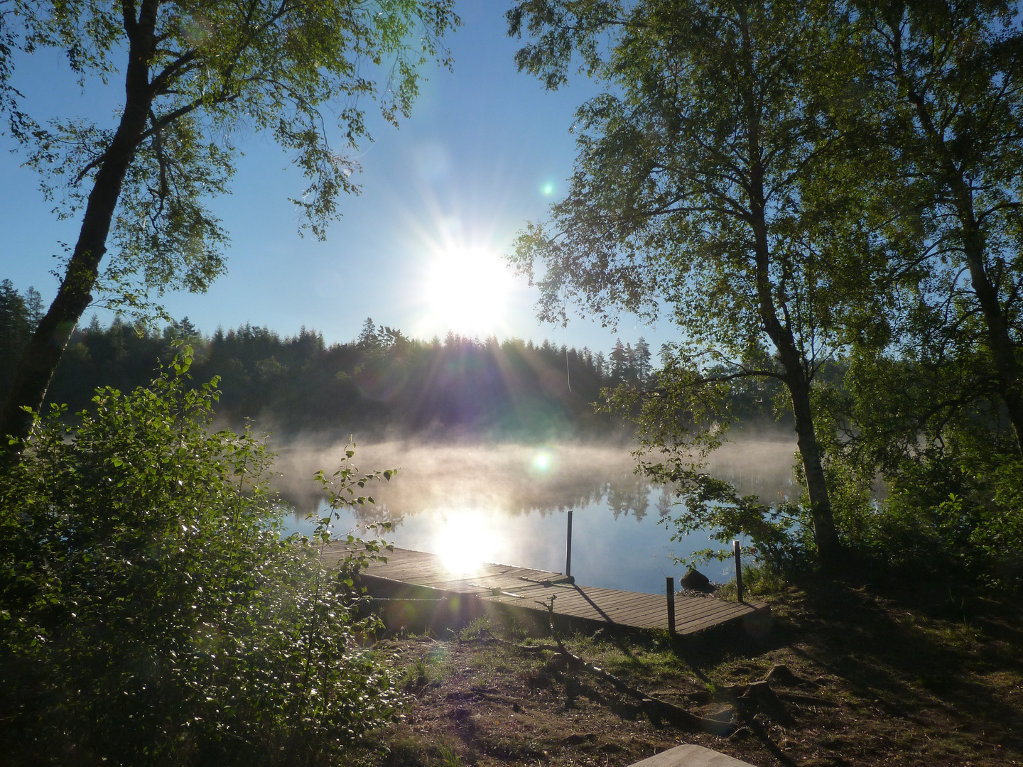 Morgenstimmung am Ronneby 3