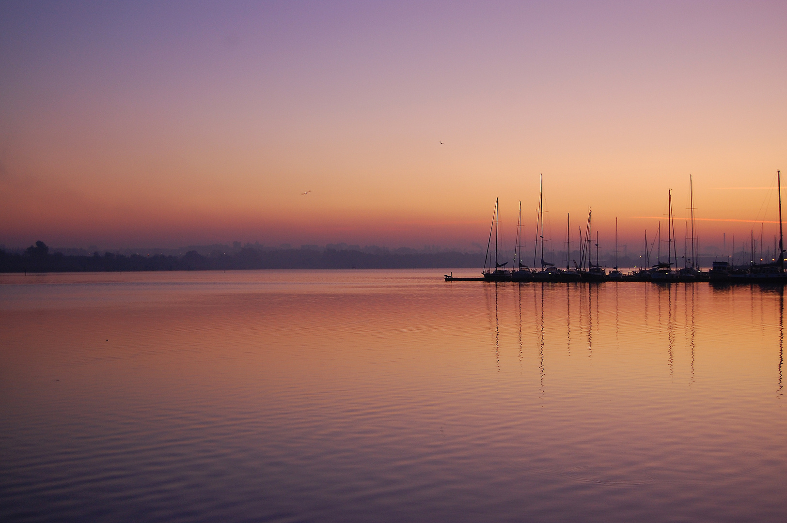 Morgenstimmung am Rostocker Stadthafen