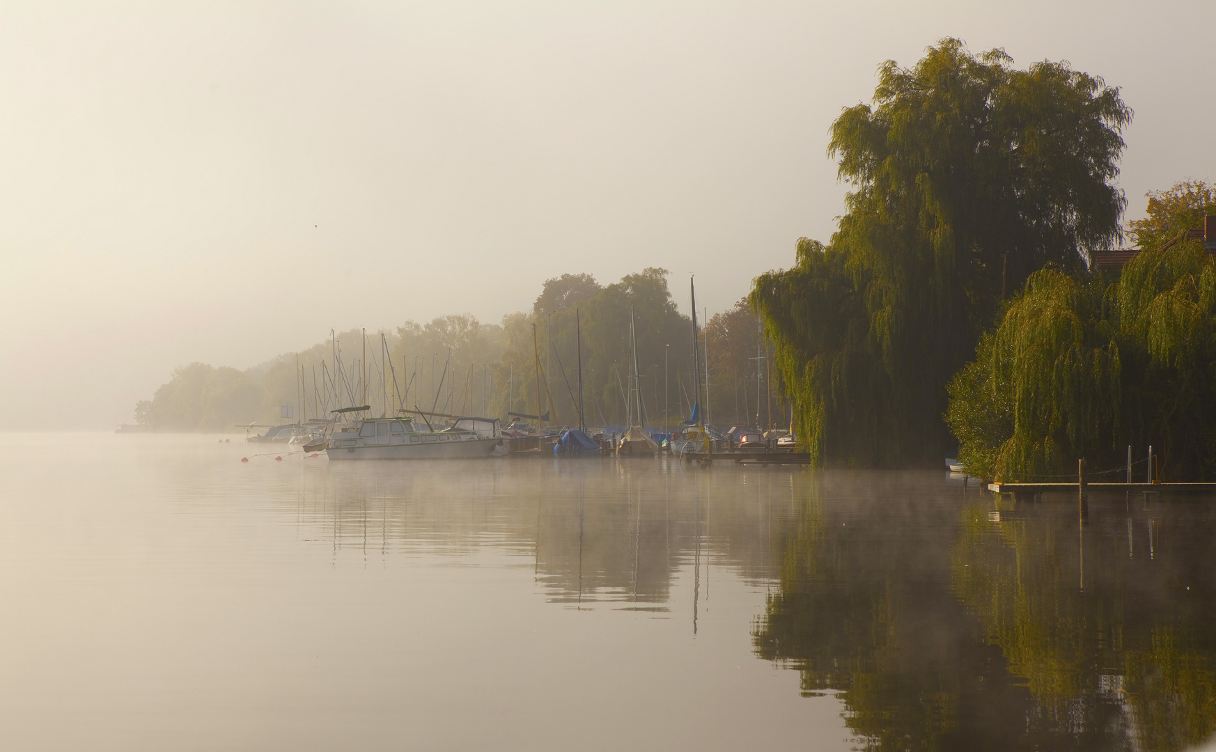 Morgenstimmung am Rupiner See