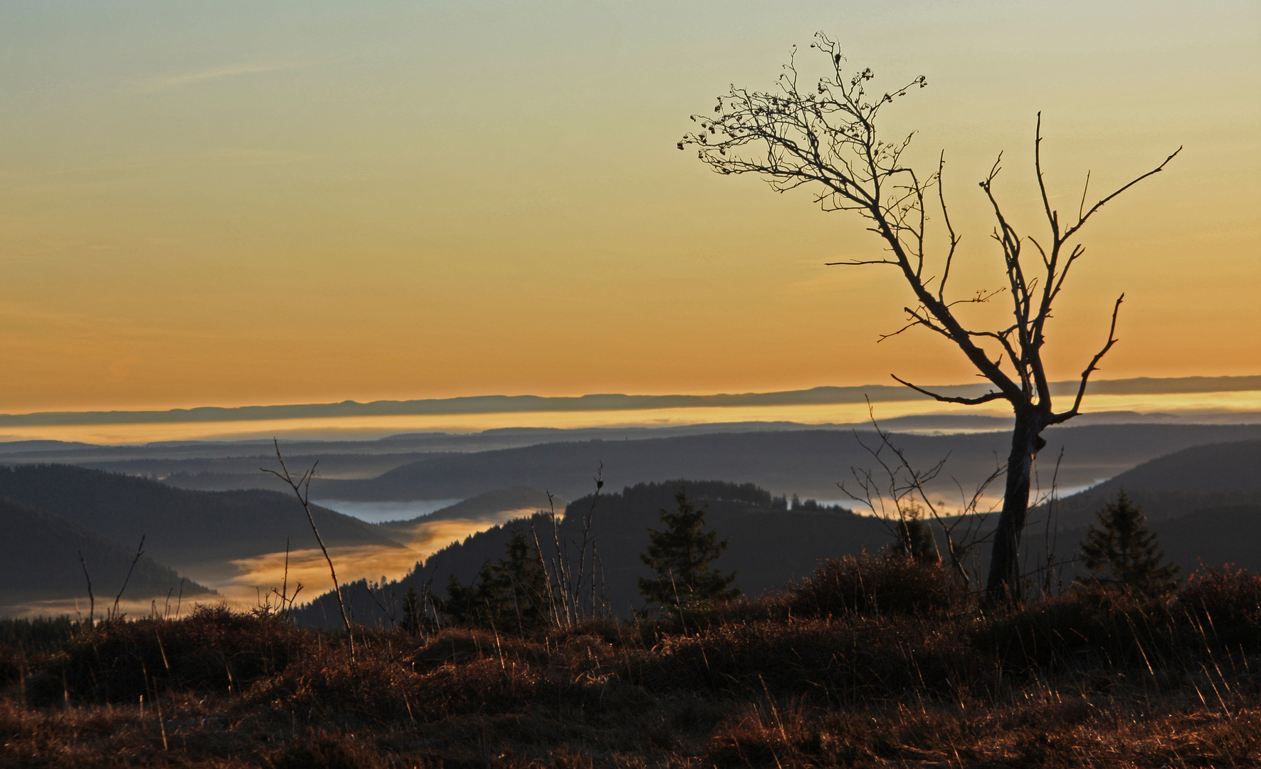 Morgenstimmung am Schliffkopf