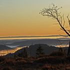 Morgenstimmung am Schliffkopf