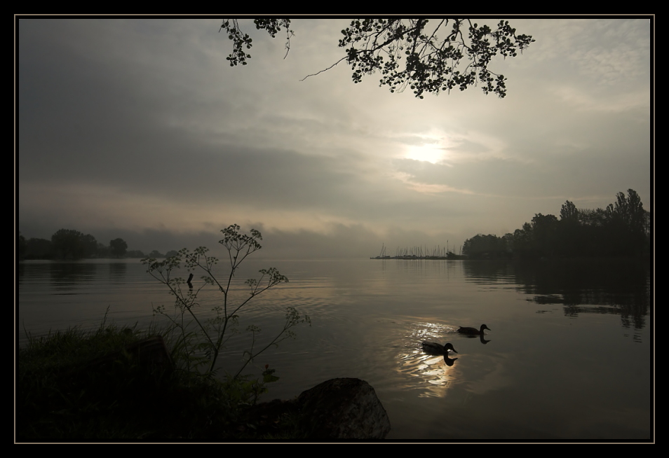 Morgenstimmung am Schweriner See