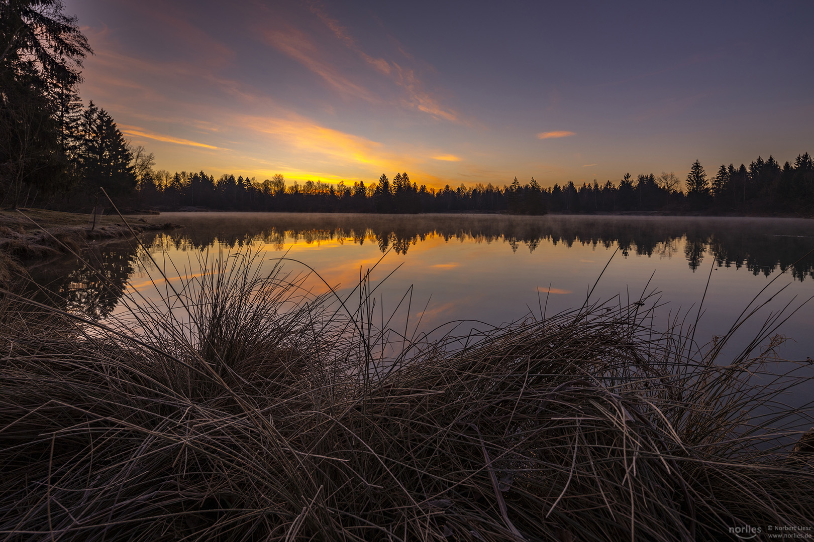 Morgenstimmung am See