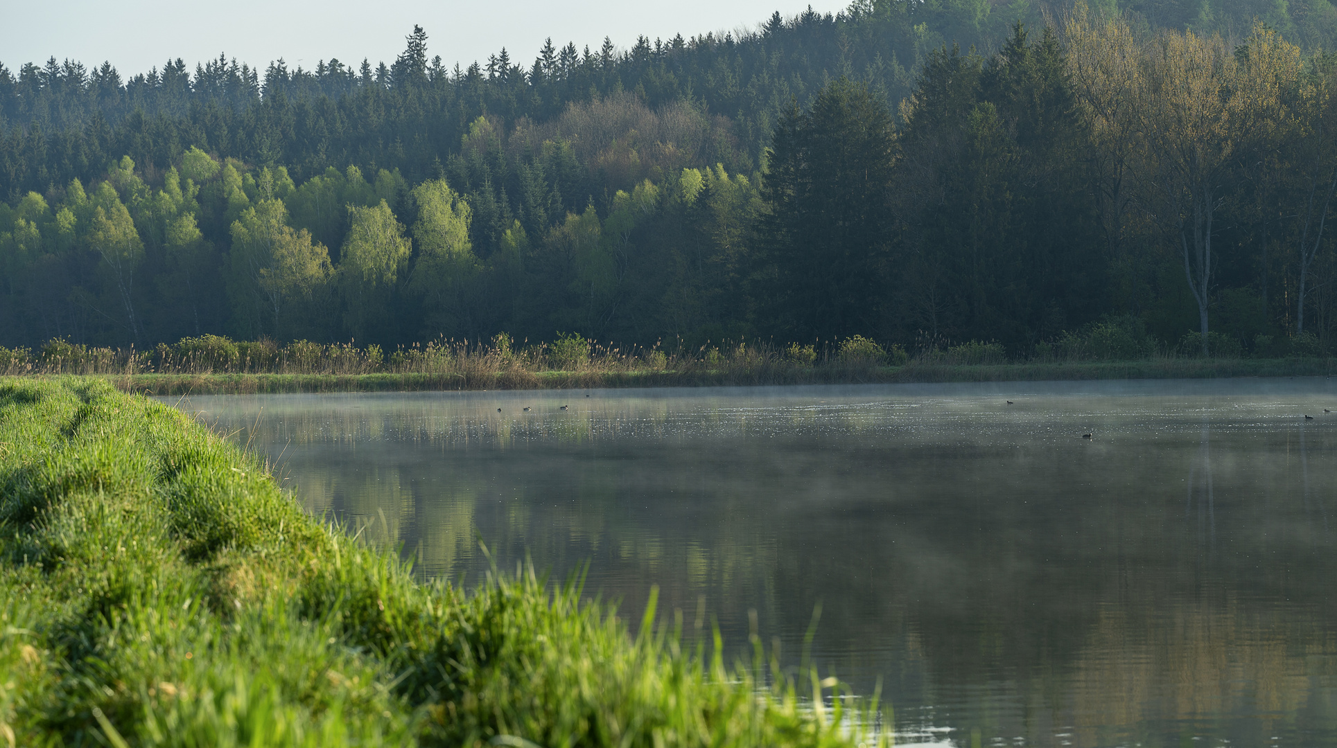  Morgenstimmung am See