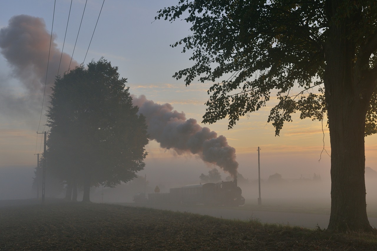 Morgenstimmung am See