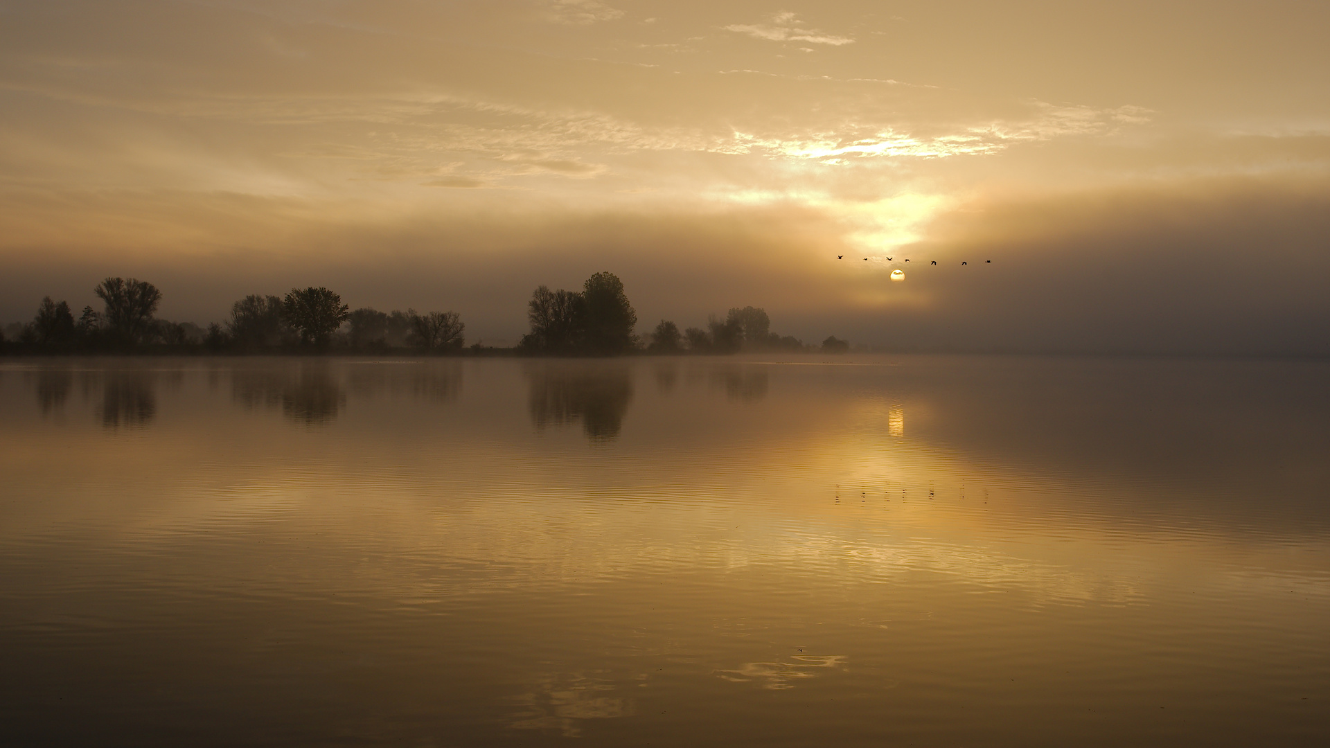 Morgenstimmung am See 1