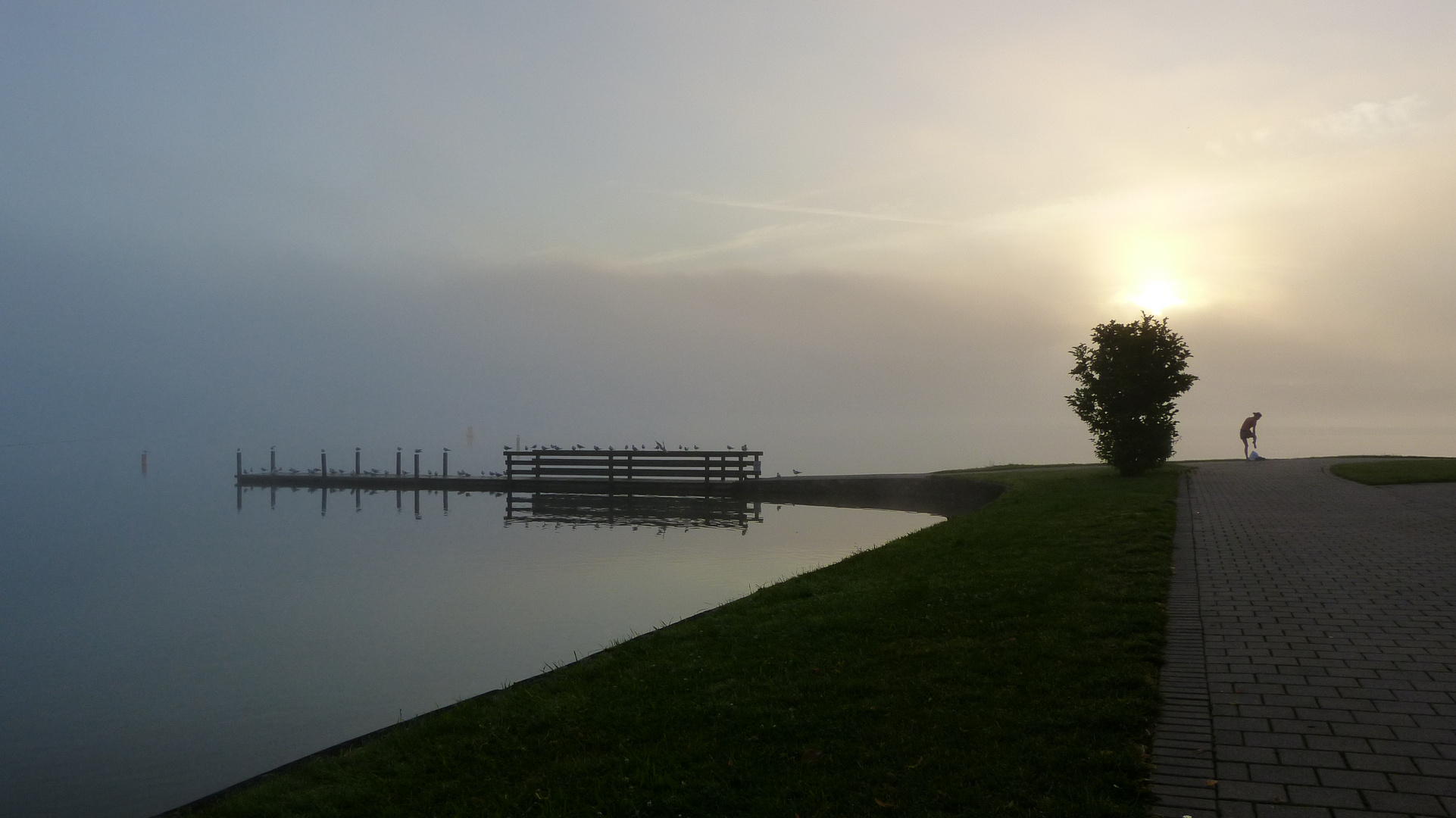 Morgenstimmung am See 1