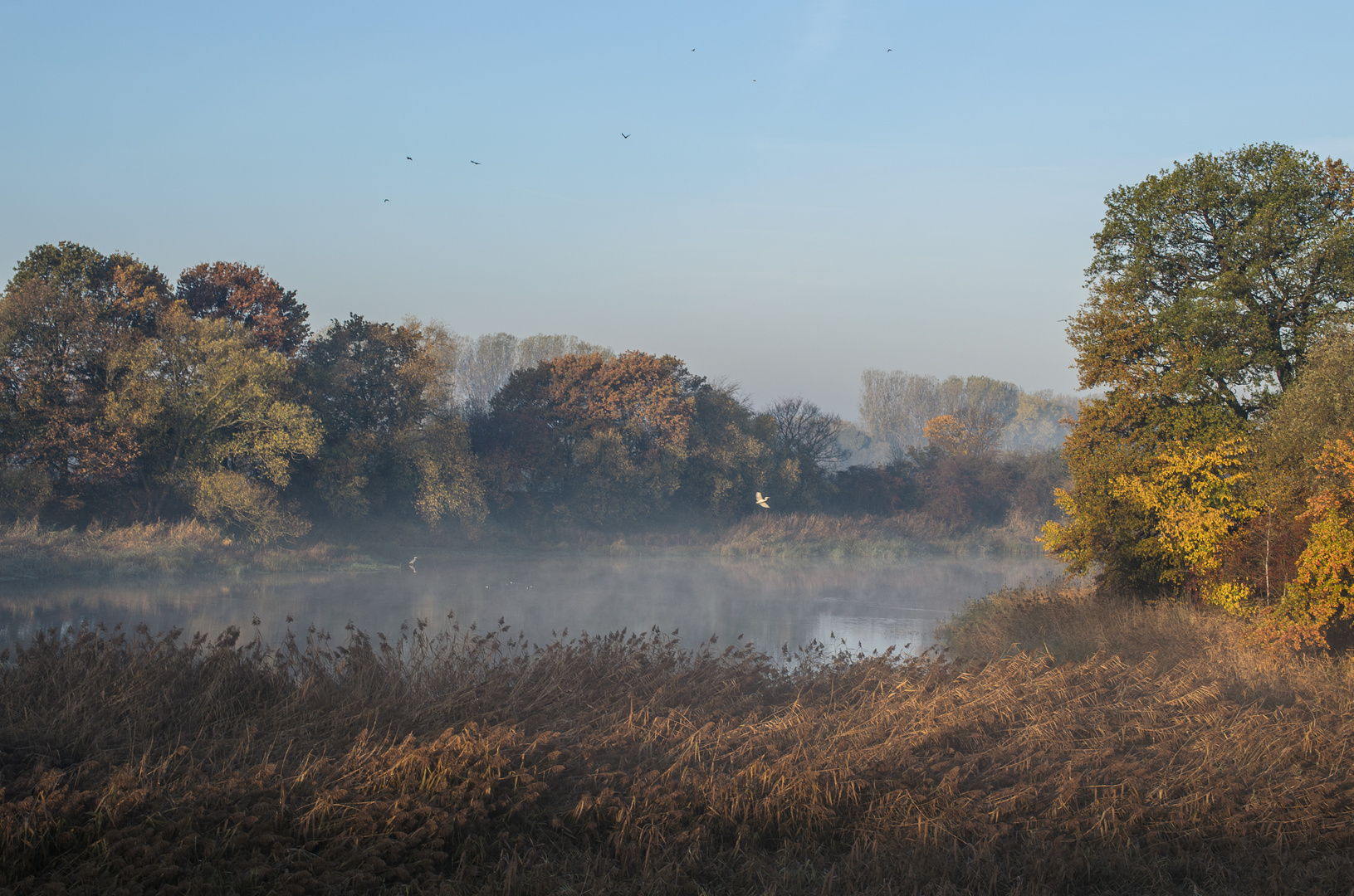 Morgenstimmung am See