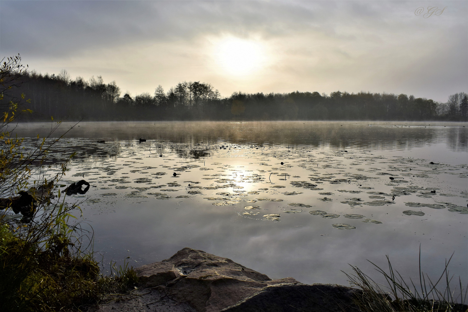 Morgenstimmung am See