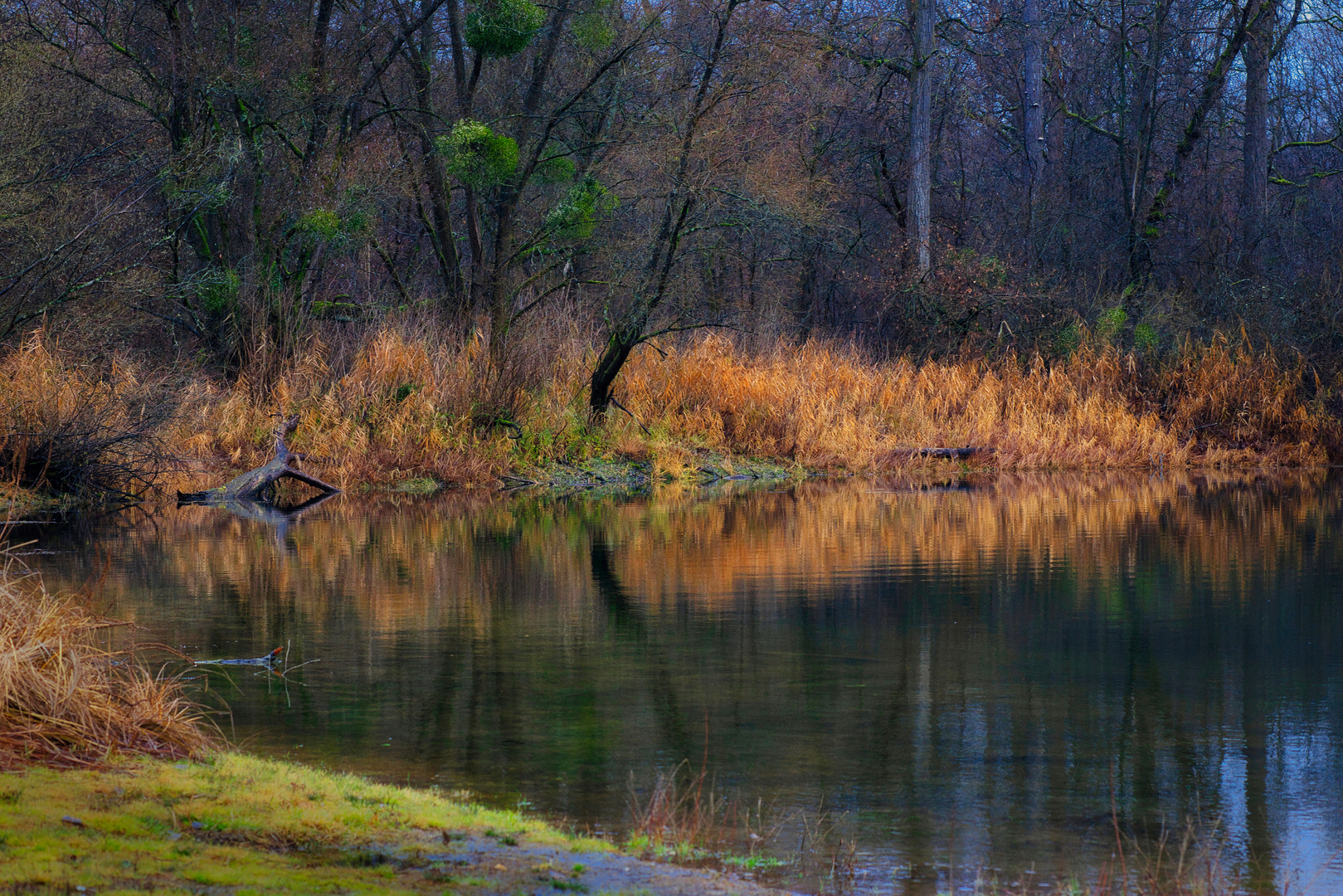 Morgenstimmung am See