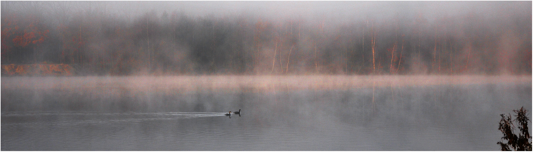 Morgenstimmung am See . . .