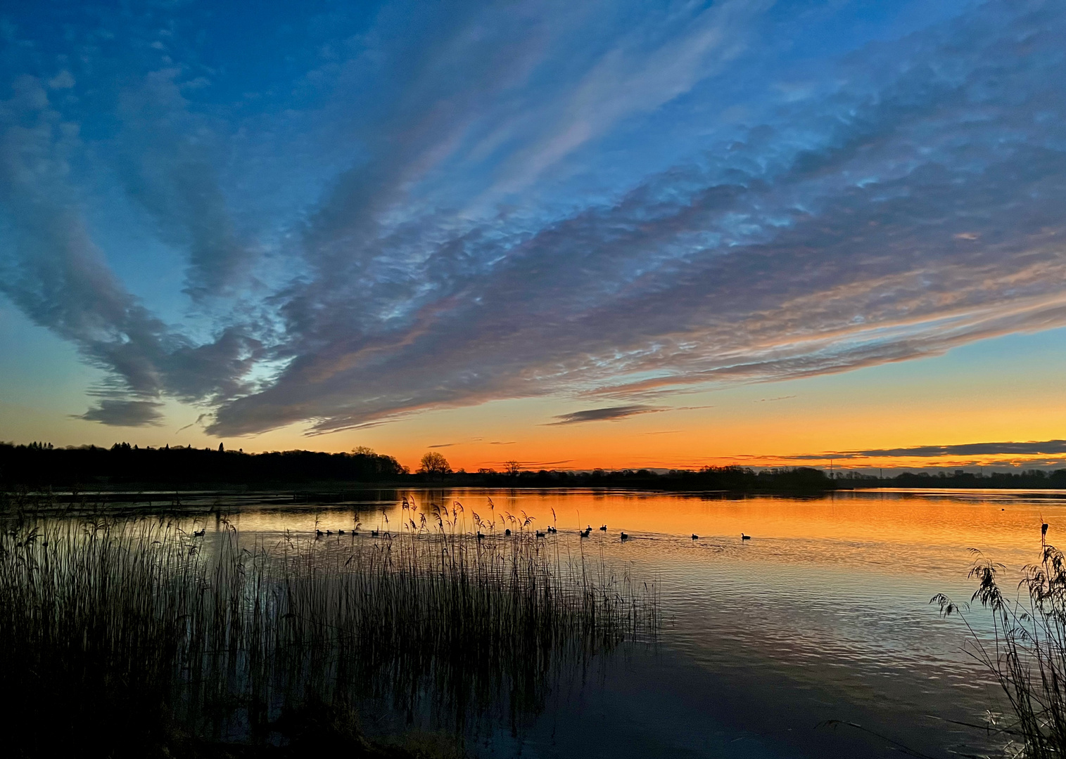 Morgenstimmung am See.