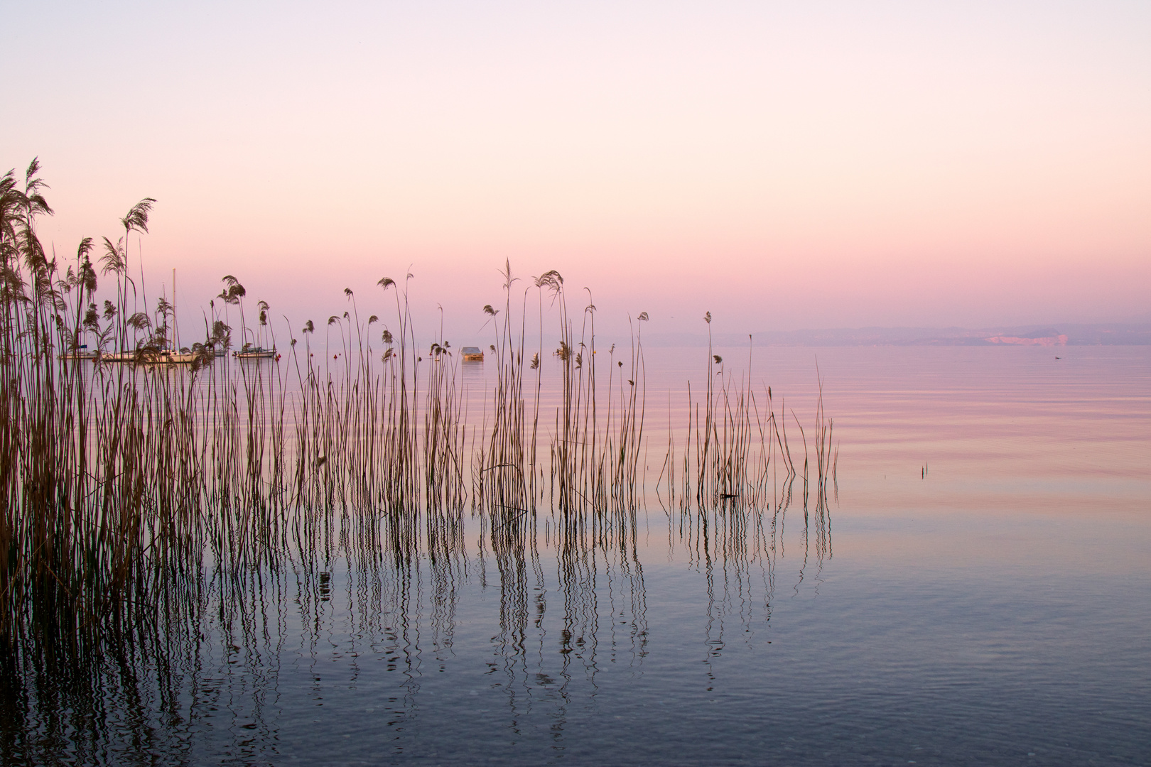 Morgenstimmung am See