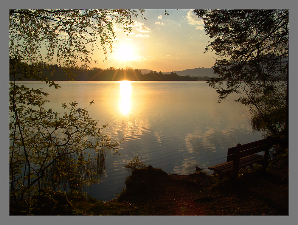 Morgenstimmung am See