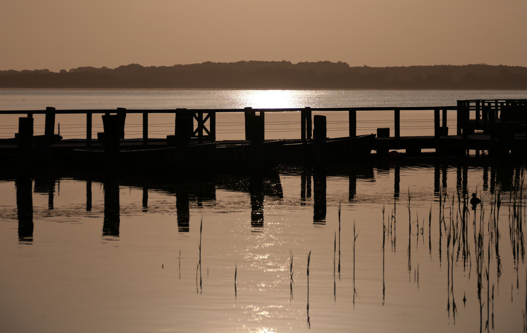 Morgenstimmung am See