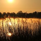 Morgenstimmung am See