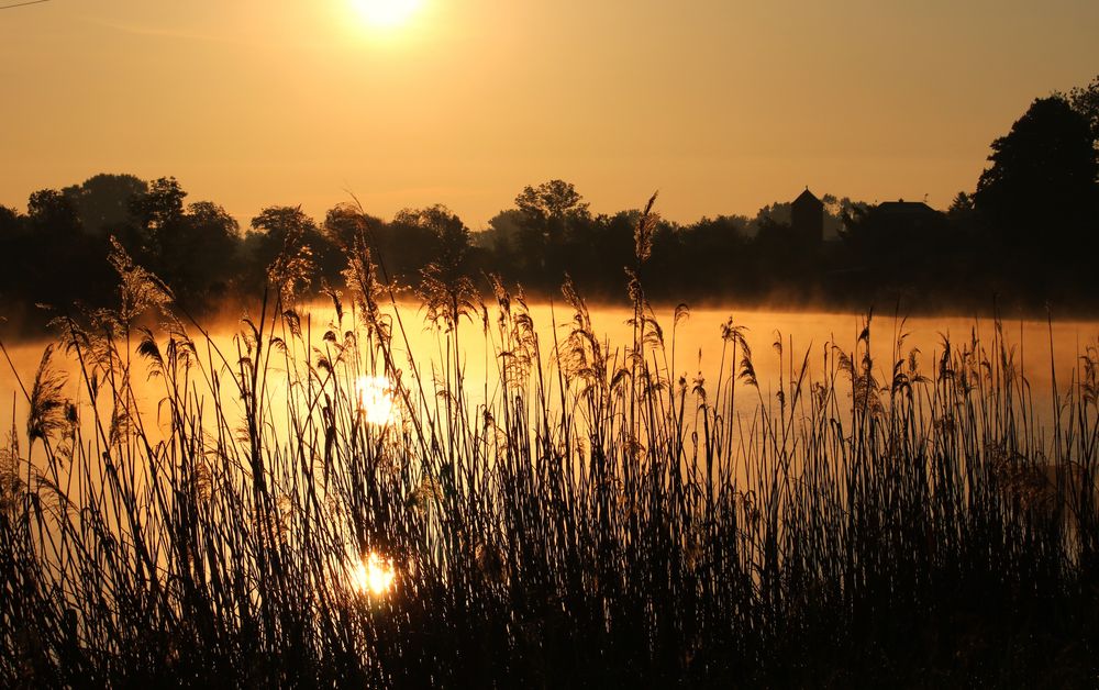 Morgenstimmung am See