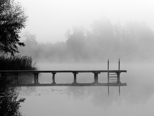 Morgenstimmung am See