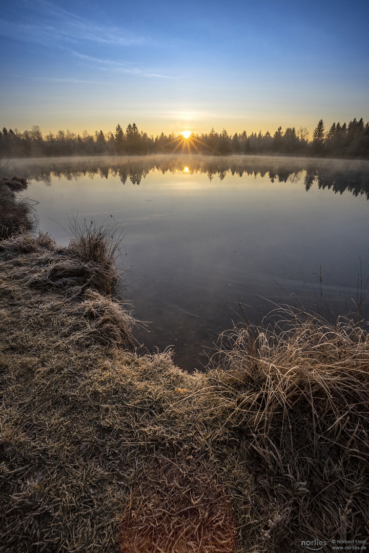 Morgenstimmung am See