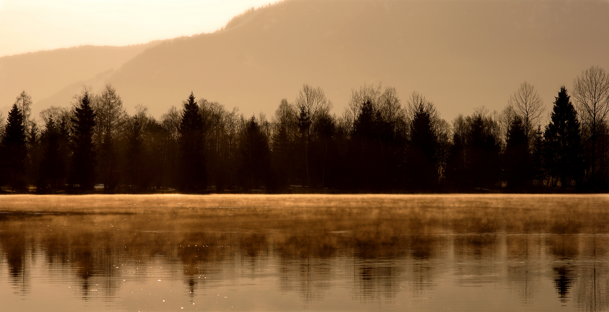 Morgenstimmung am See