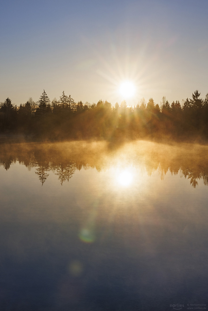 Morgenstimmung am See