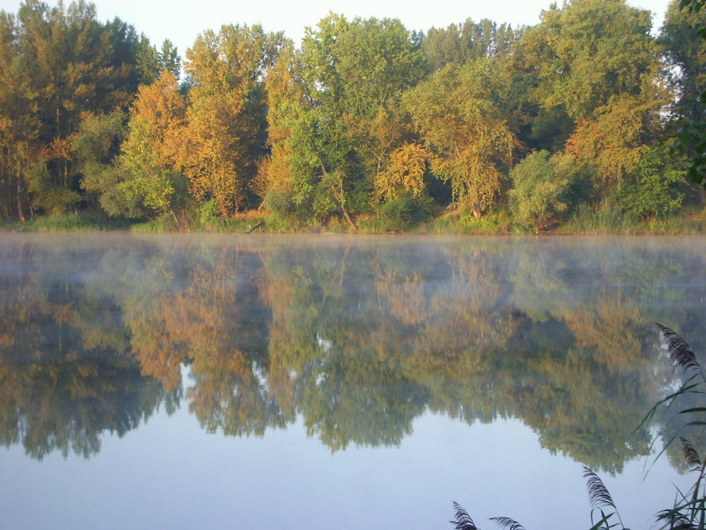 Morgenstimmung am See