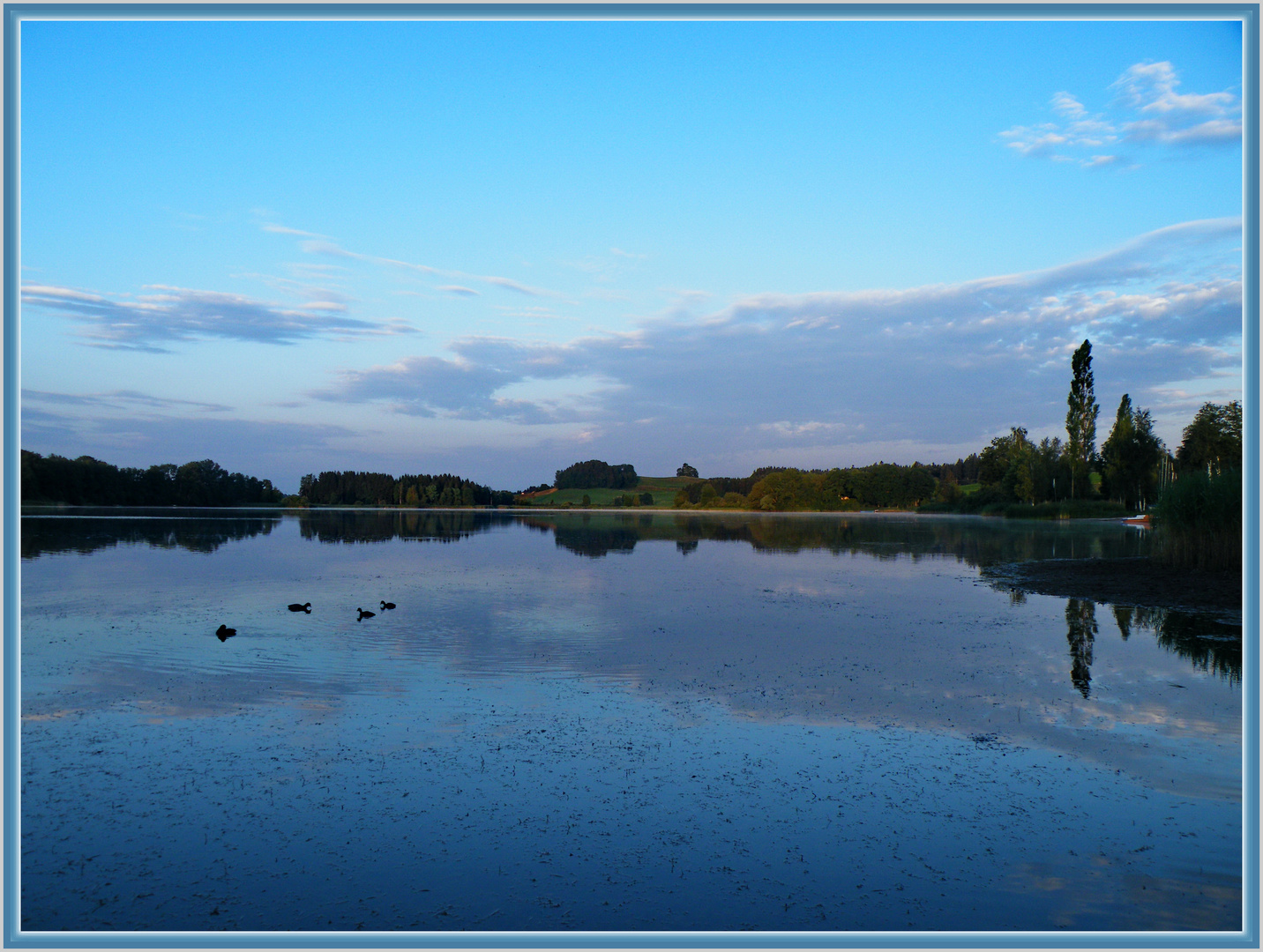 Morgenstimmung am See