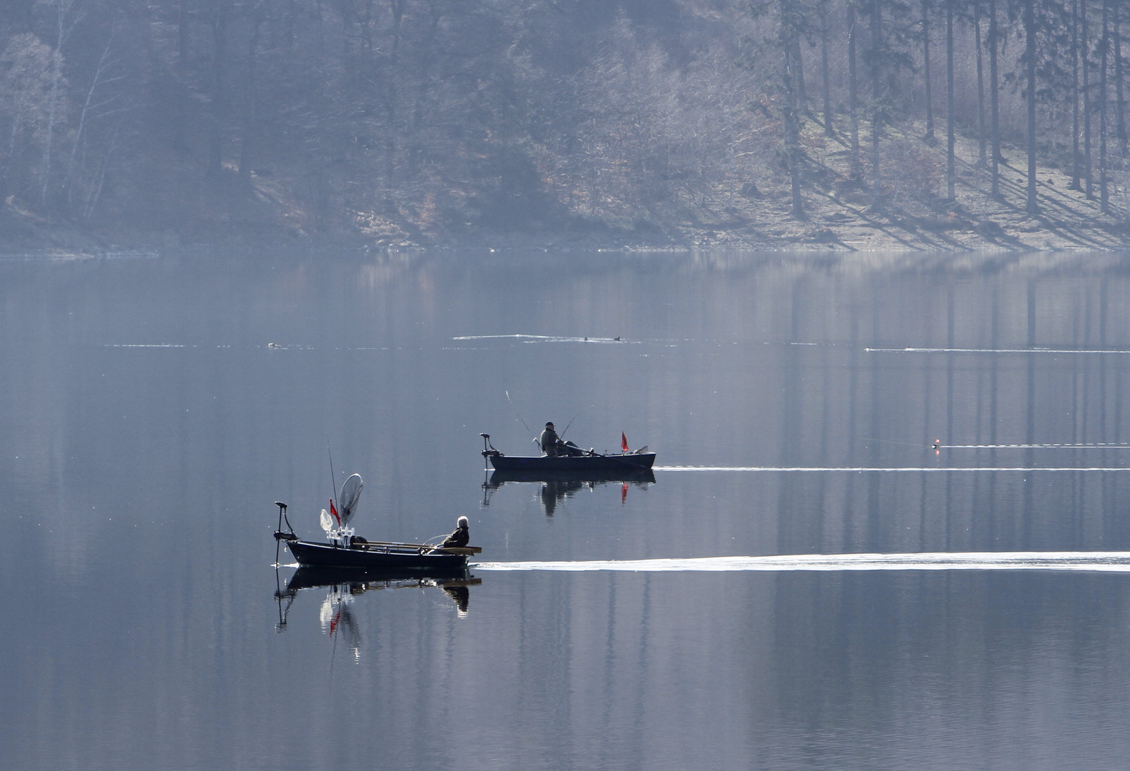 Morgenstimmung am See