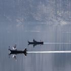 Morgenstimmung am See