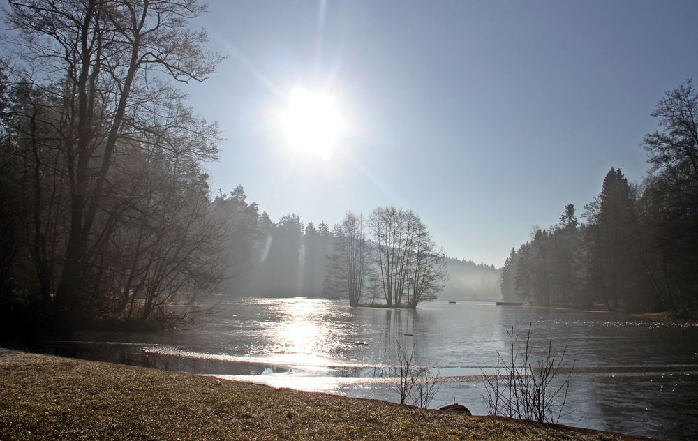 Morgenstimmung am See