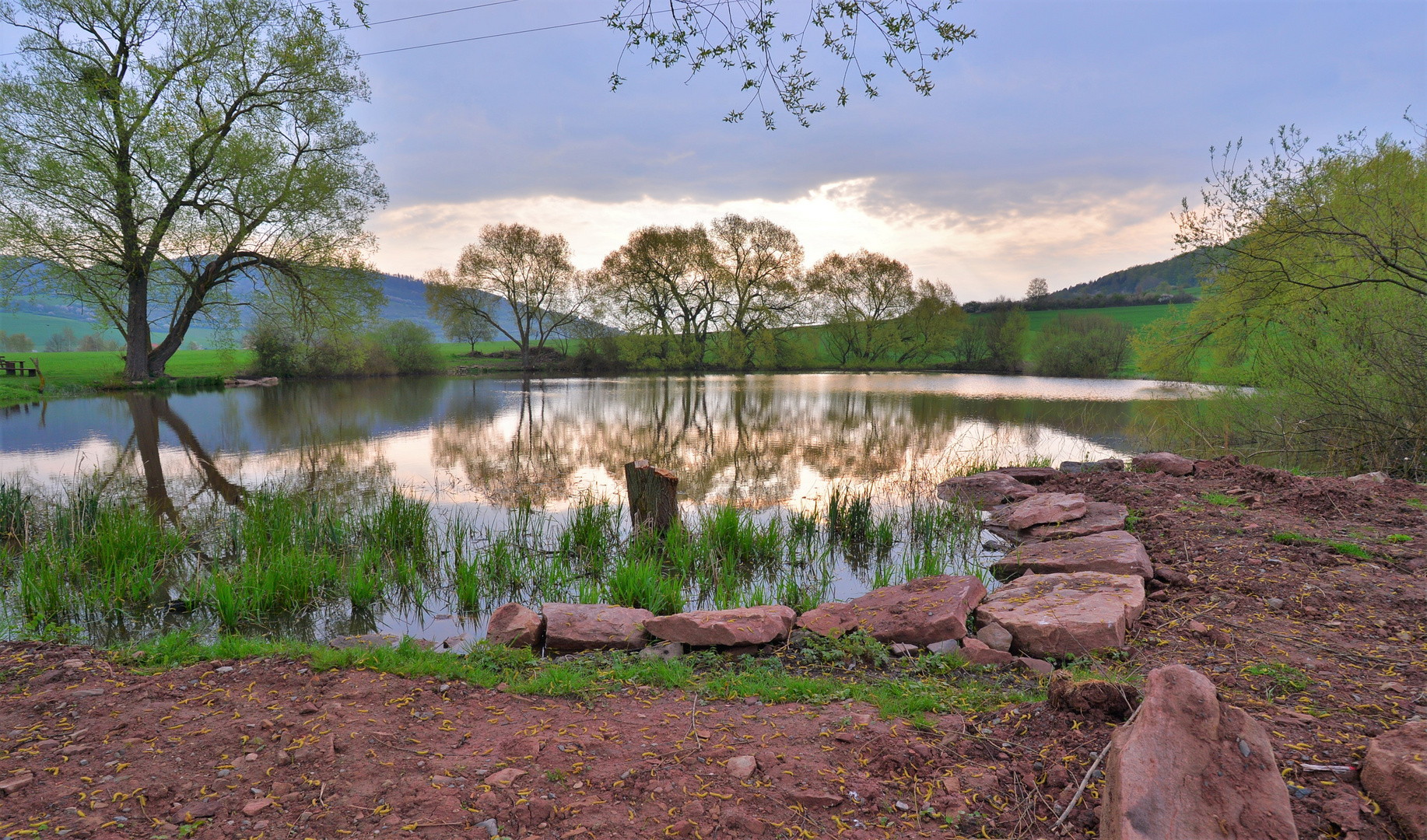 Morgenstimmung am See