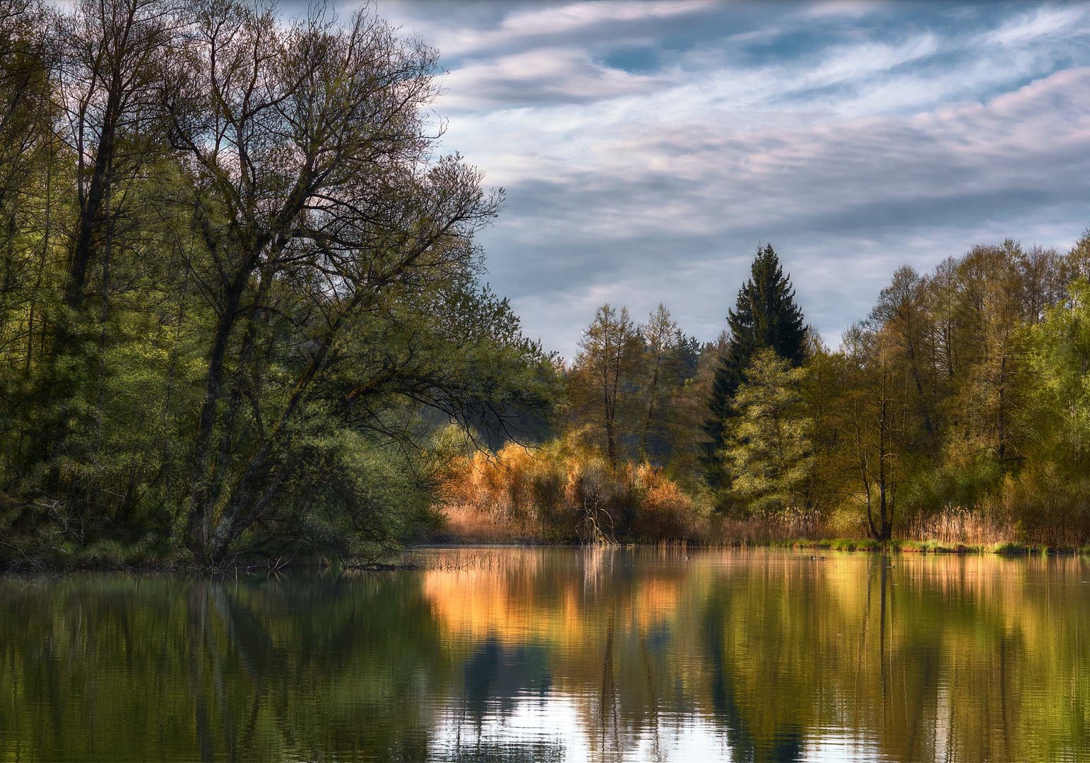 Morgenstimmung am See