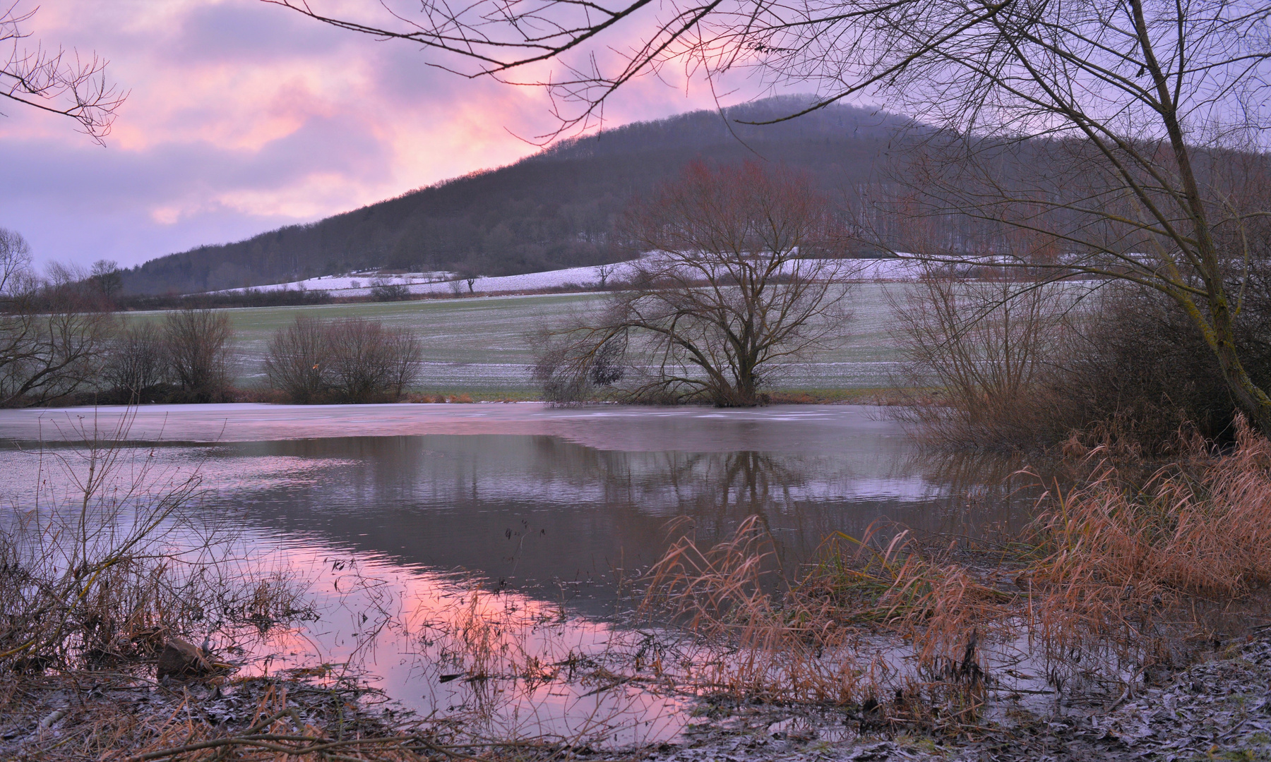 Morgenstimmung am See