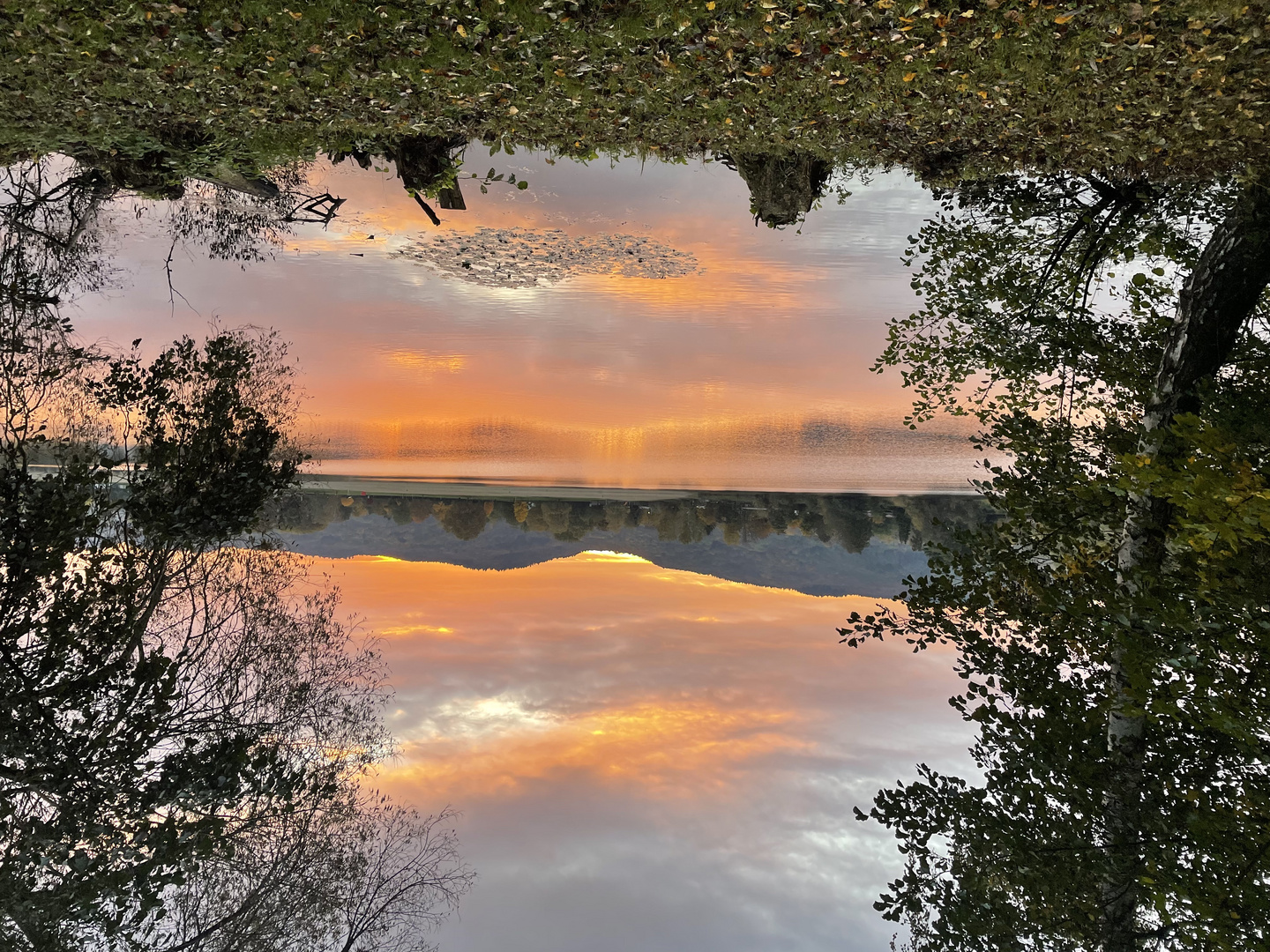 Morgenstimmung am See