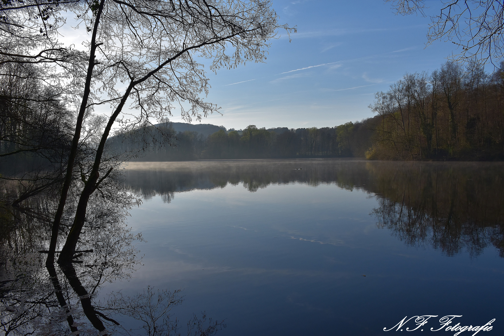 Morgenstimmung am See