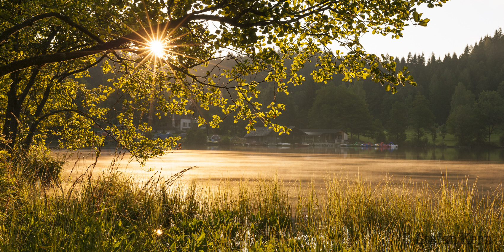 Morgenstimmung am See