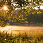 Morgenstimmung am See