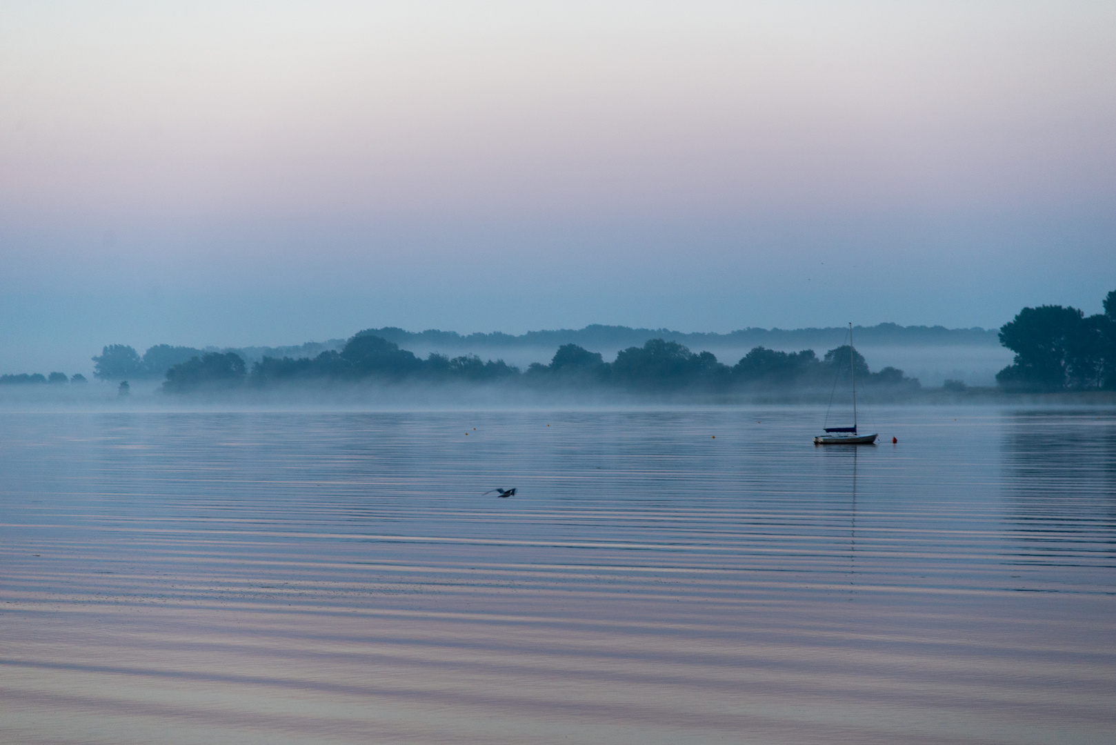 Morgenstimmung am See