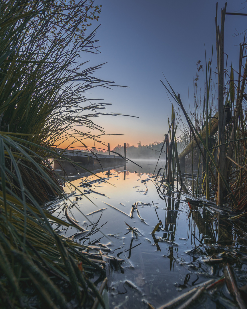 Morgenstimmung am See