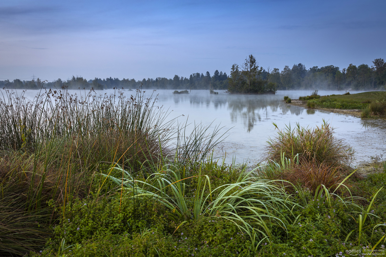 Morgenstimmung am See