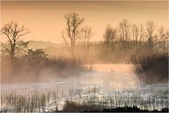 Morgenstimmung am See