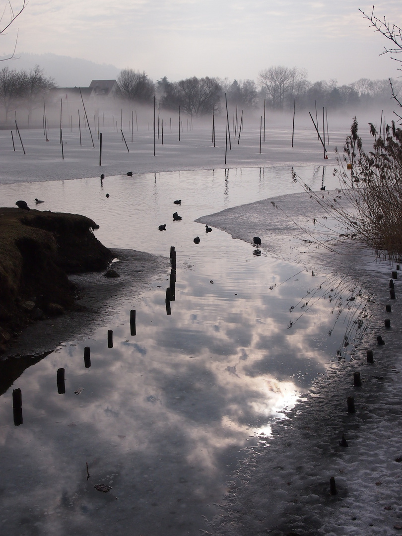 Morgenstimmung am See