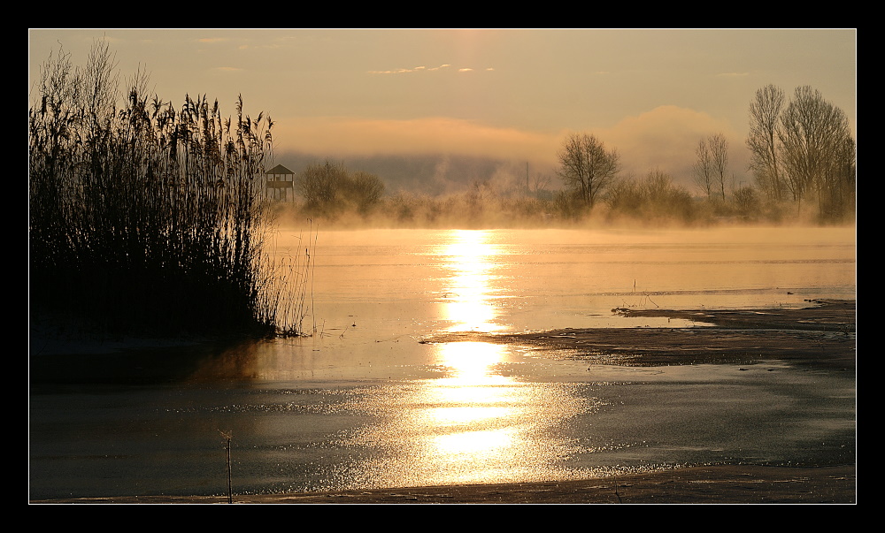 Morgenstimmung am See