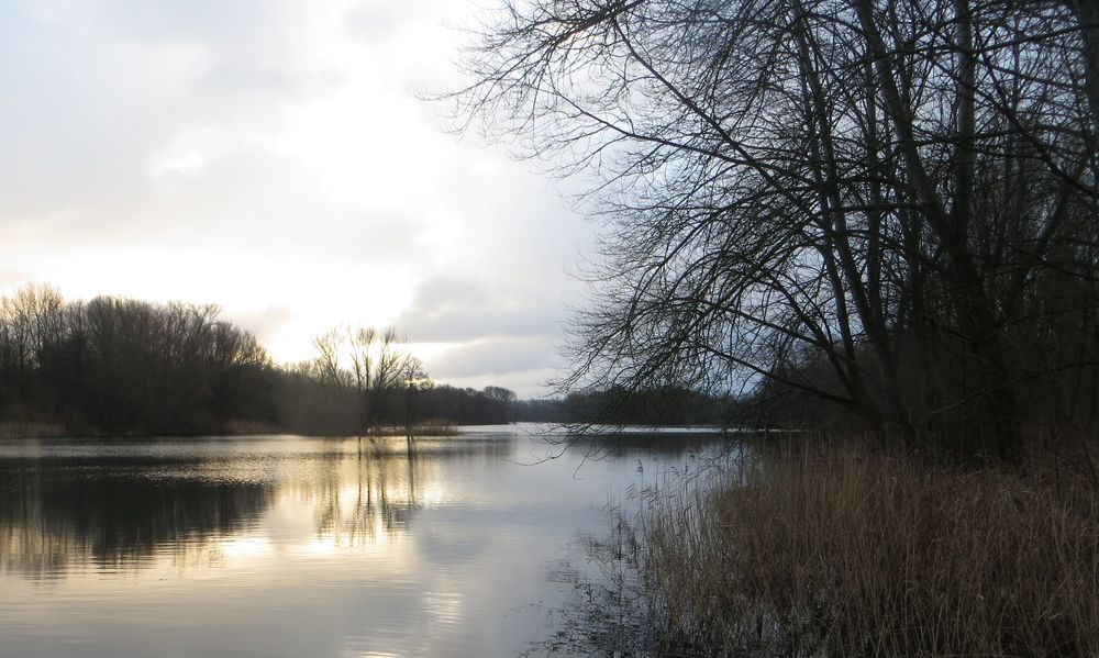 Morgenstimmung am See