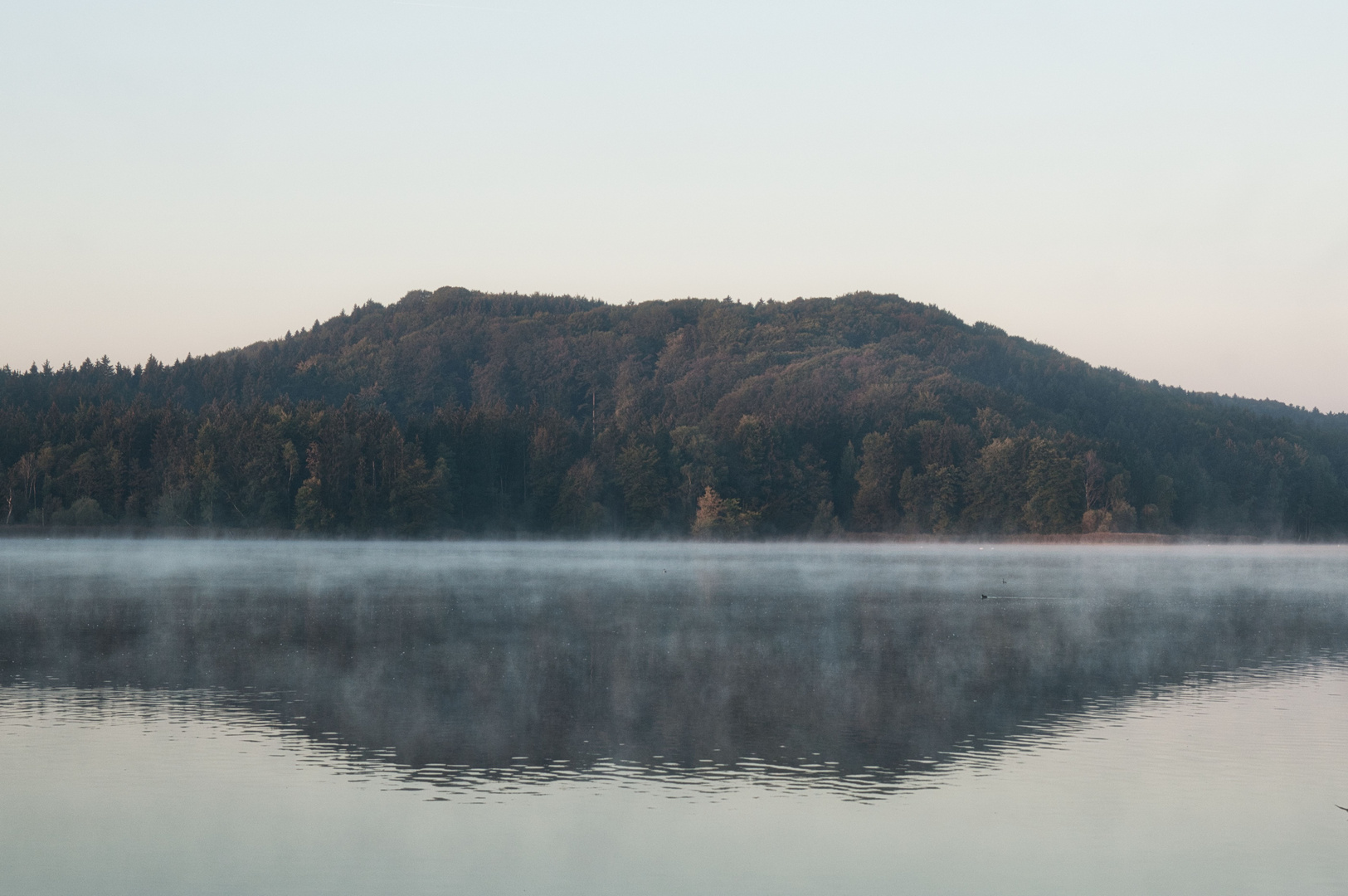 Morgenstimmung am See II