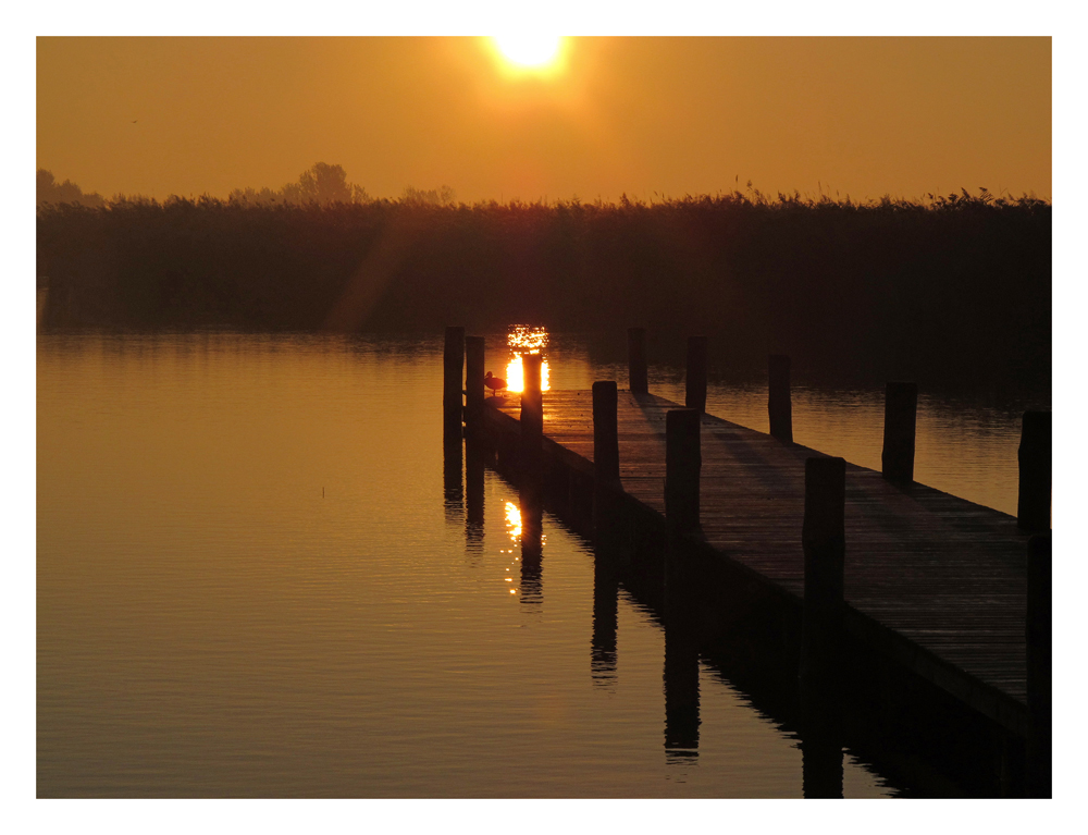 Morgenstimmung am See in Rust