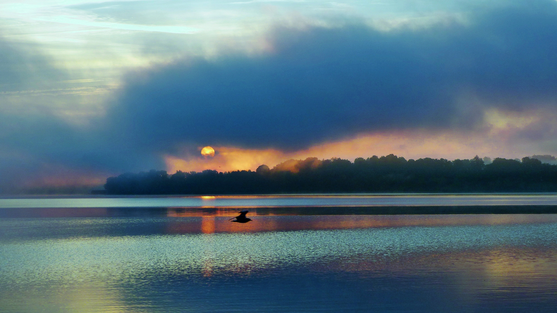 Morgenstimmung am See4