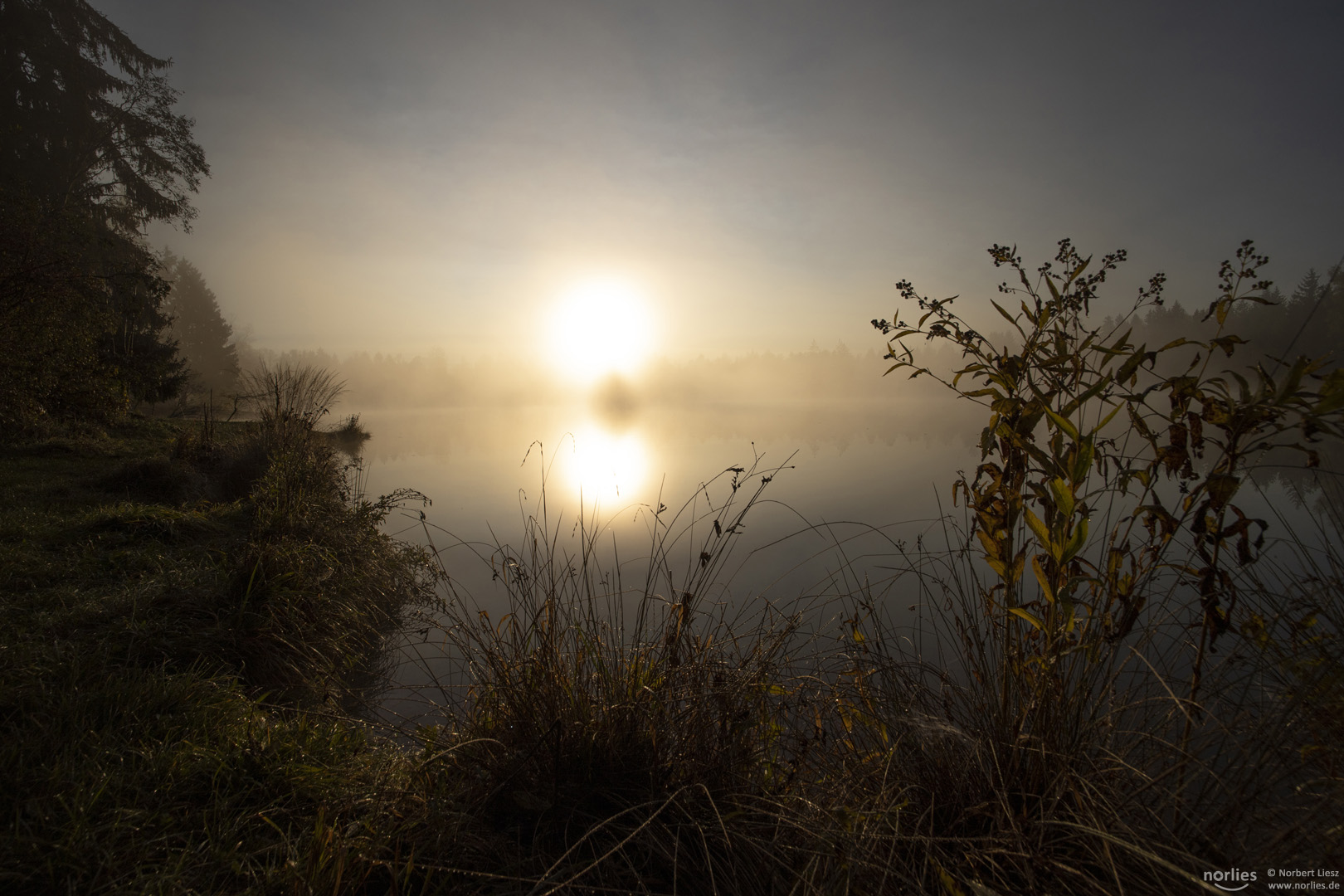 Morgenstimmung am Seeufer