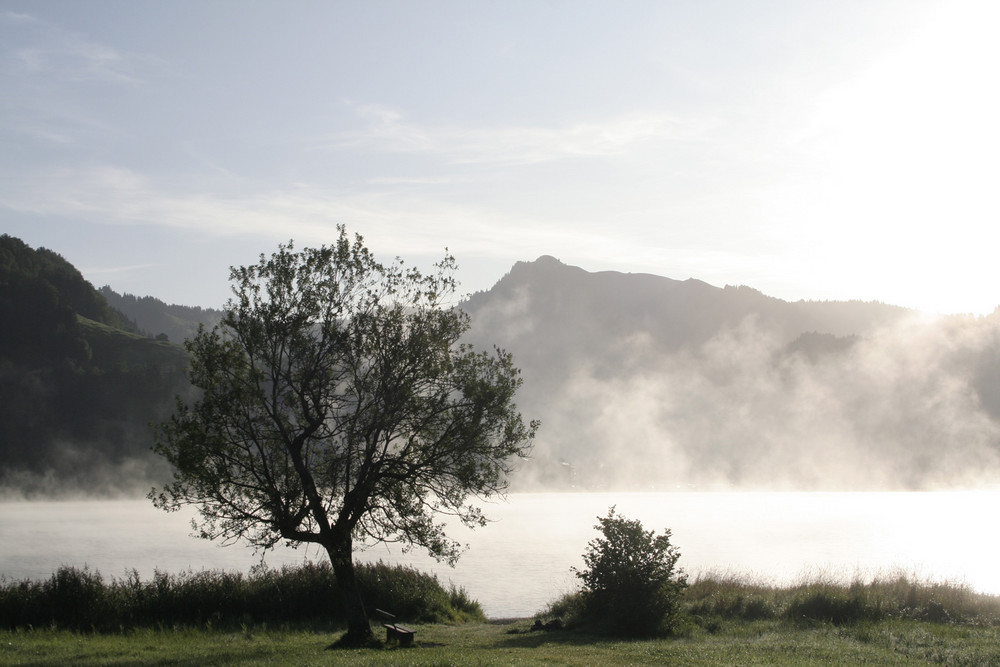 Morgenstimmung am Sihlsee