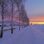 Morgenstimmung am Sportplatz